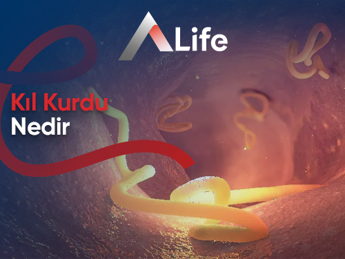 Kıl Kurdu Nedir? Kıl Kurdu Belirtileri Nelerdir?